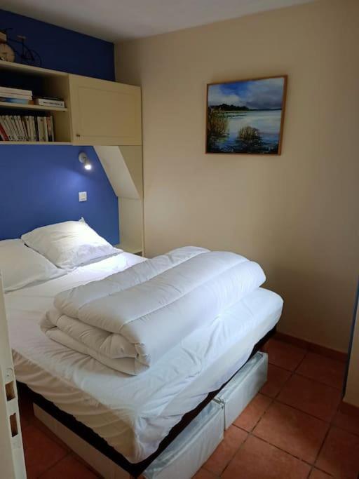 Appart' Dans Les Pins, Ocean, Lac, Piscine 拉卡诺 外观 照片