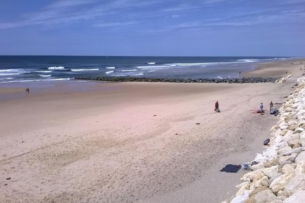 Appart' Dans Les Pins, Ocean, Lac, Piscine 拉卡诺 外观 照片