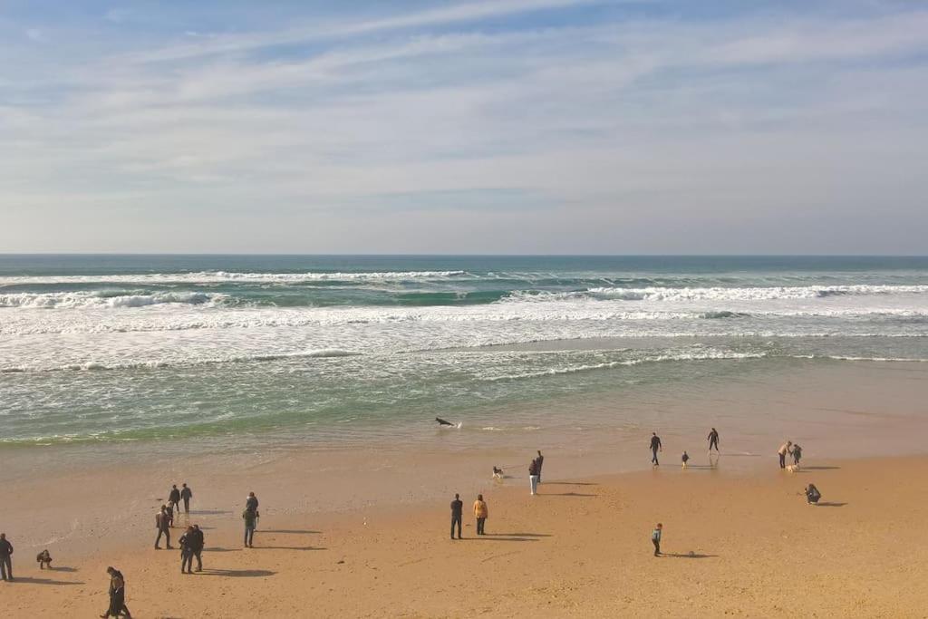 Appart' Dans Les Pins, Ocean, Lac, Piscine 拉卡诺 外观 照片